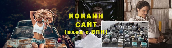 сатива Алексин