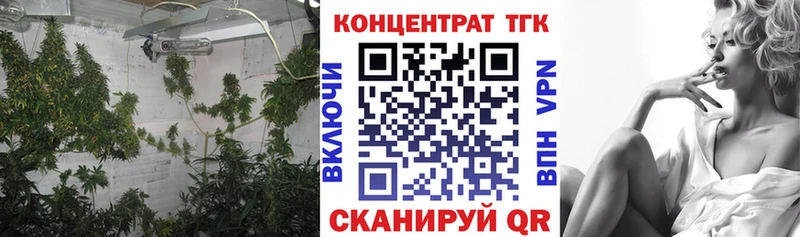 Дистиллят ТГК гашишное масло  кракен вход  Лесной 