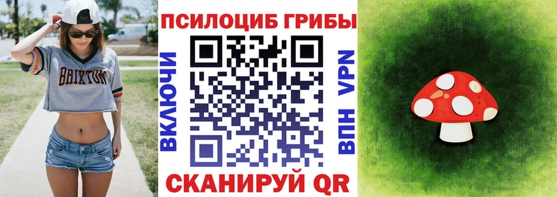 omg маркетплейс купить наркотик Лесной Галлюциногенные грибы GOLDEN TEACHER